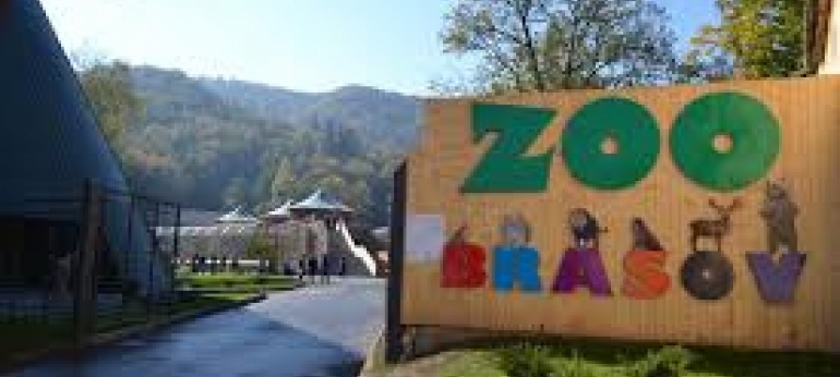 Gradina Zoologica Brasov Turism Agrement si Distractie