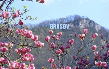 Special offer may 2018-Brasov